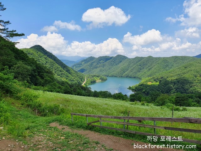 춘천 해피초원목장 풍경