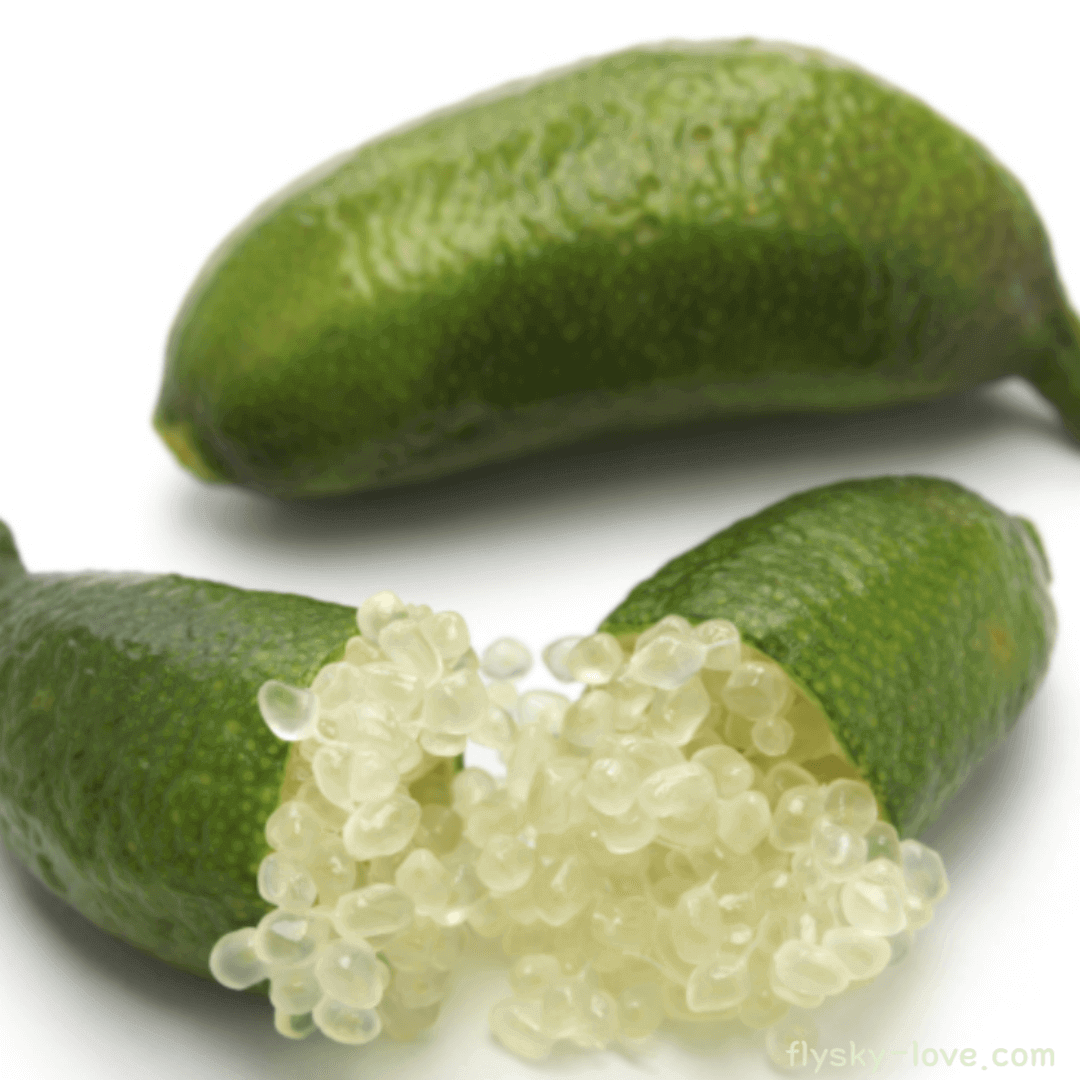 핑거라임 (Finger Lime) 효능