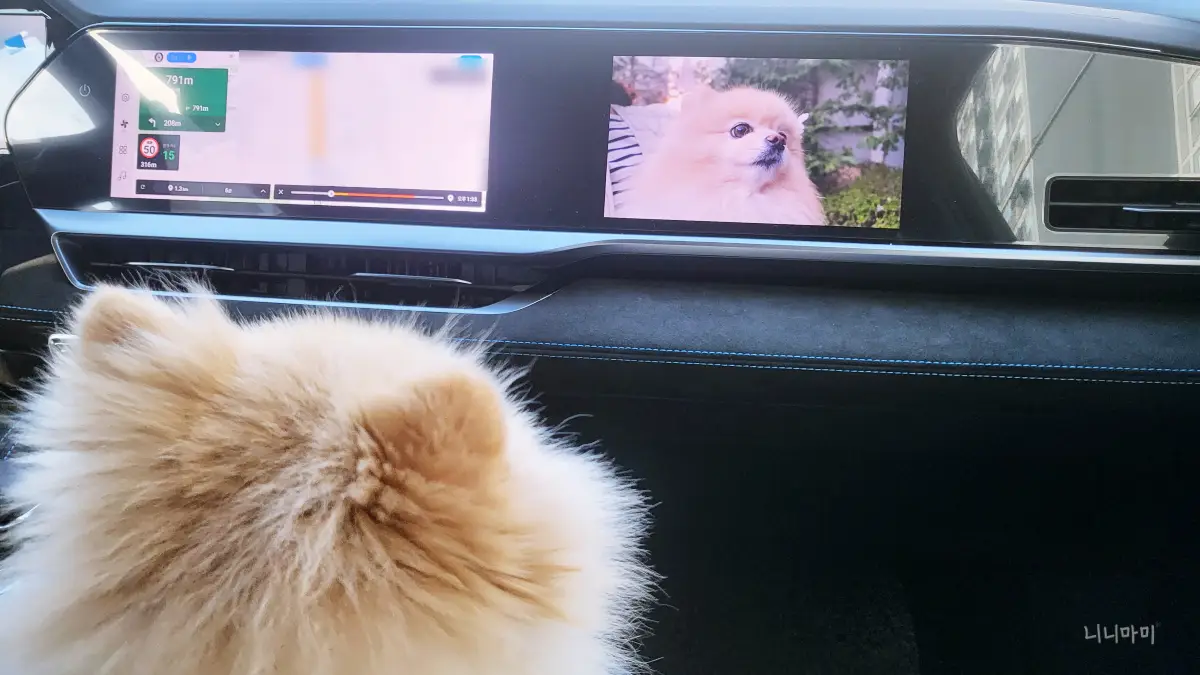 르노그랑콜레오스-파노라마-디스플레이1