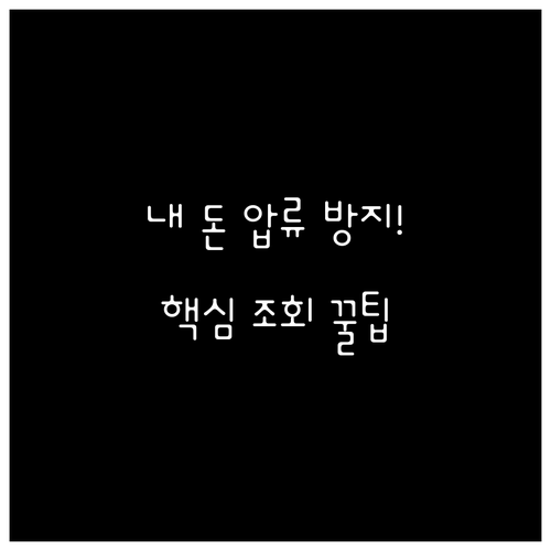 행복지킴이통장 거래 내역 상세 조회 ..