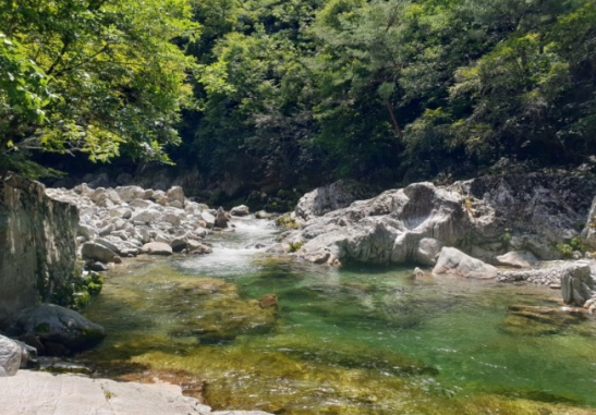 아침가리계곡 사진
