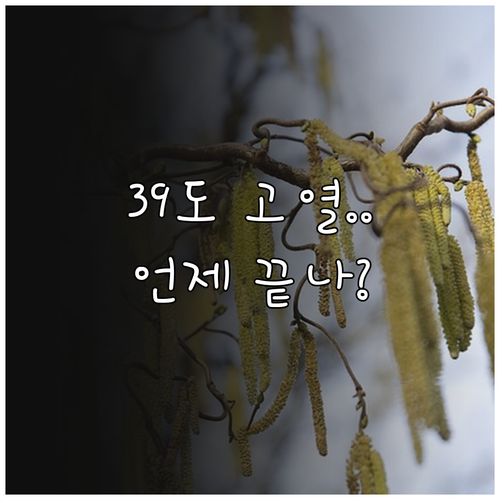 A형 독감 39도 고열 지속 기간과 ..