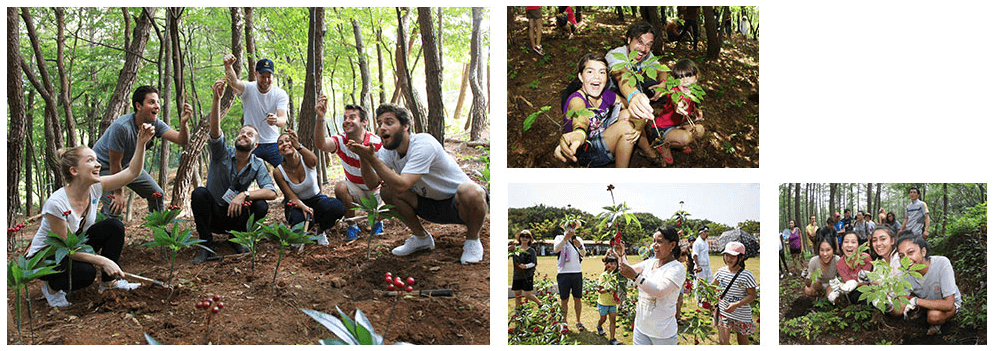외국인 산삼캐기