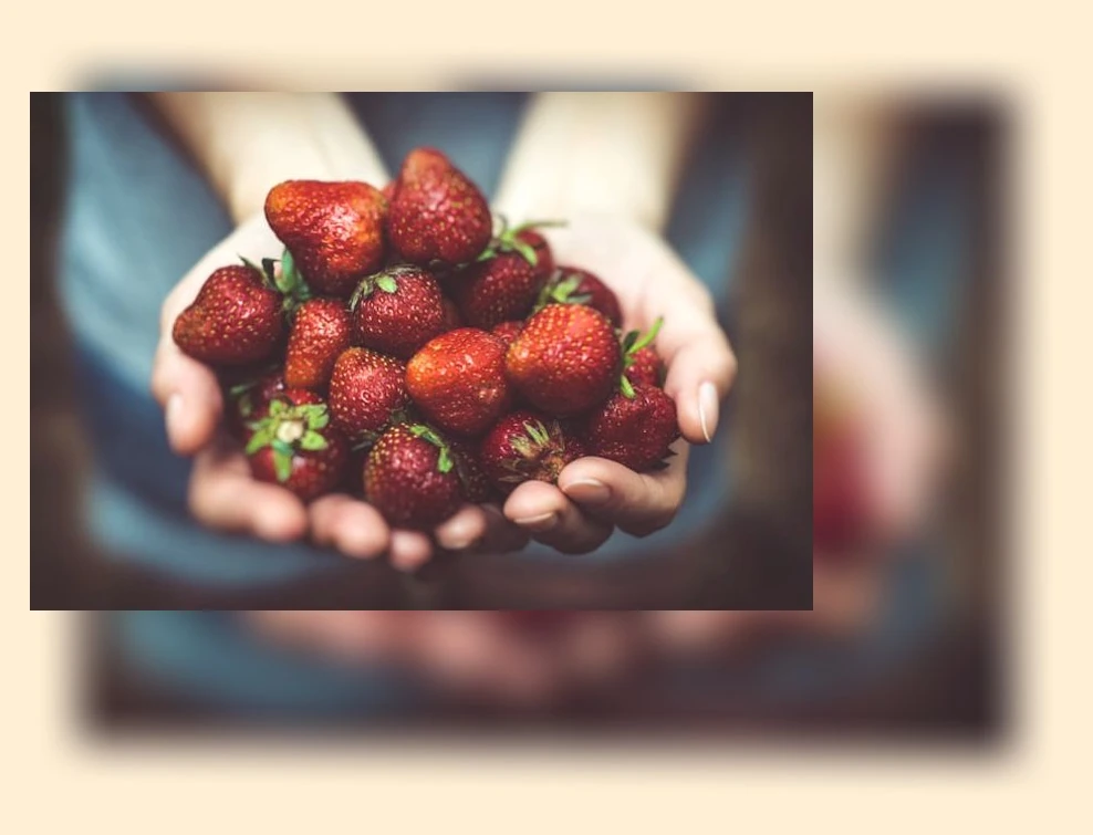 유아 과일 섭취_2_subsection