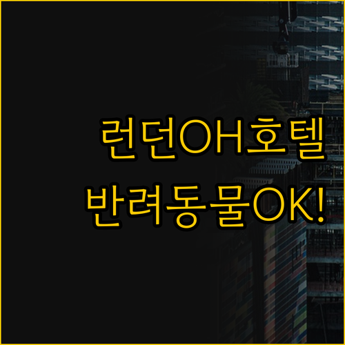 이런 점이 궁금했다 런던 오하이오 호..