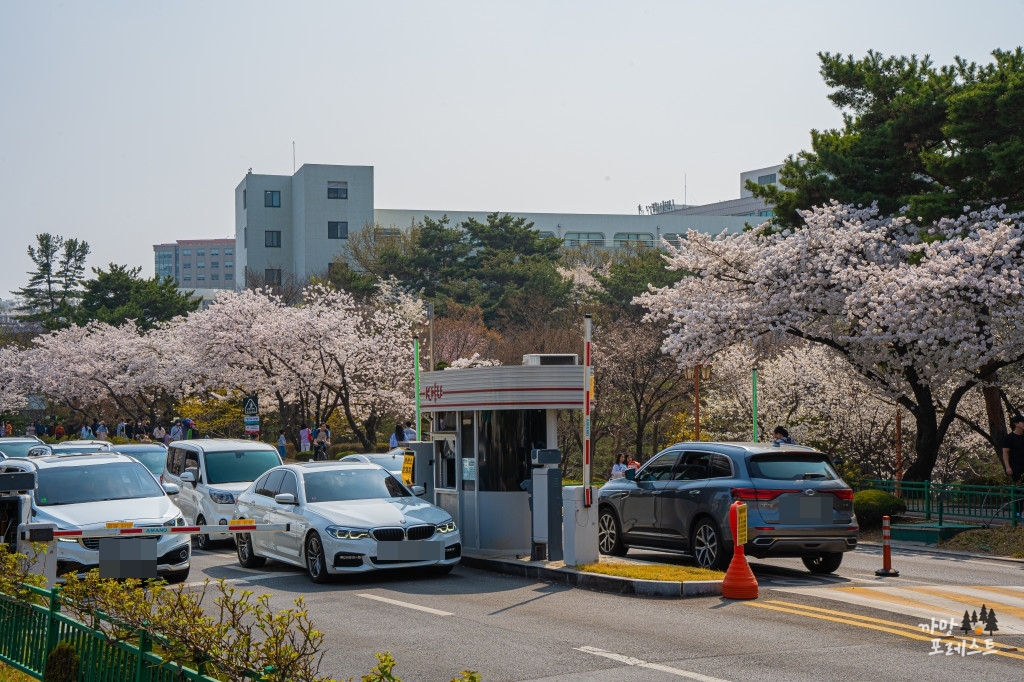 경희대 국제 캠퍼스 입구