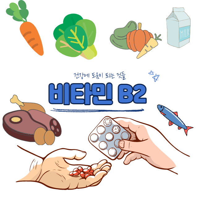 비타민 B2
