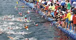 항저우 아시안 게임 수영 중에서 다이빙 아티스틱 스위밍 수구 마라톤수영 선수명단과 일정 그리고 종목 정의 그리고 메달 획득 정리