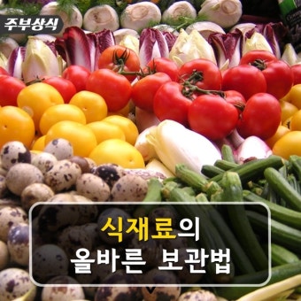 식재료의 올바른 보관법