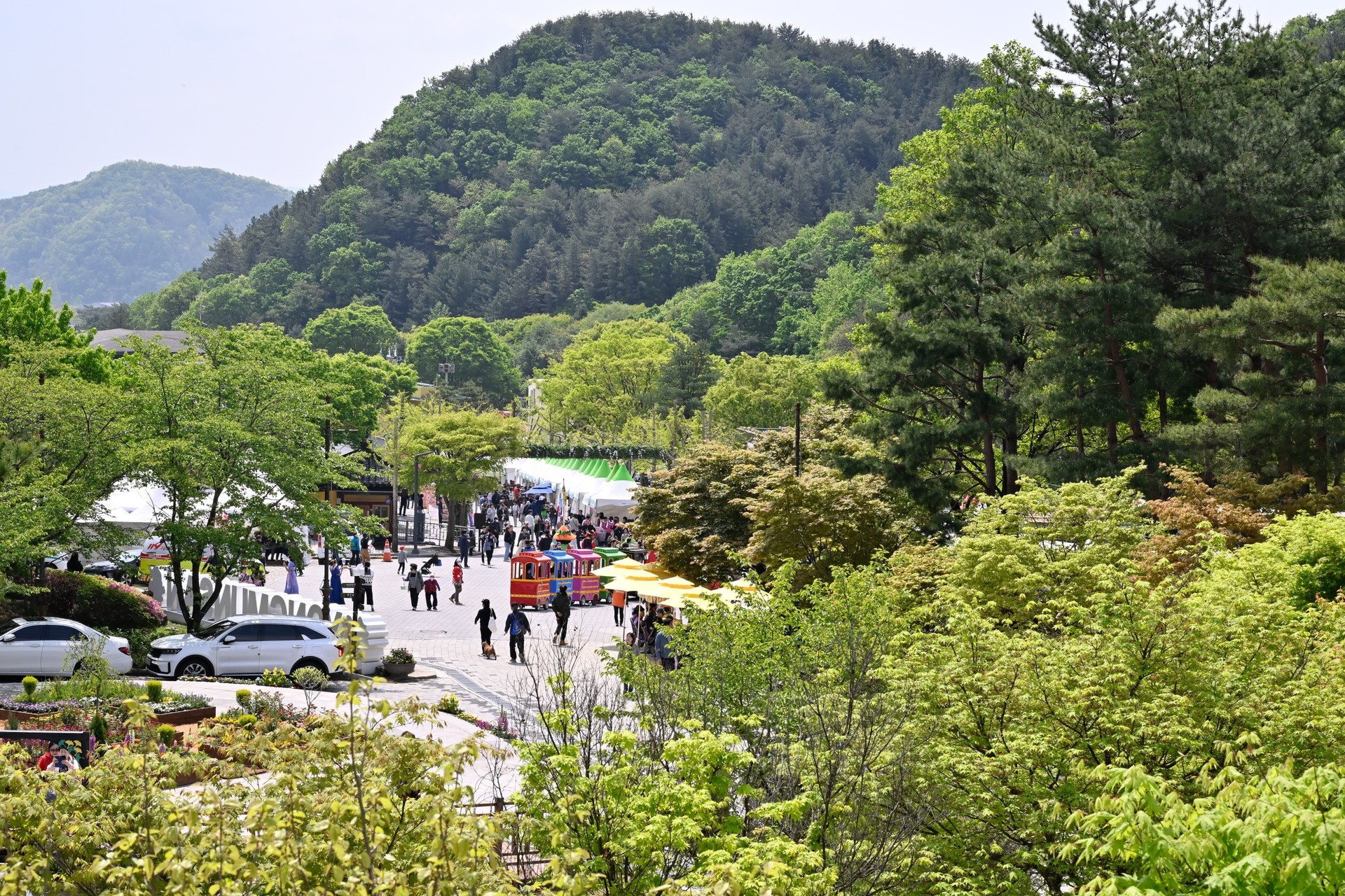 2025 양평 용문산 산나물축제 방문객 이미지