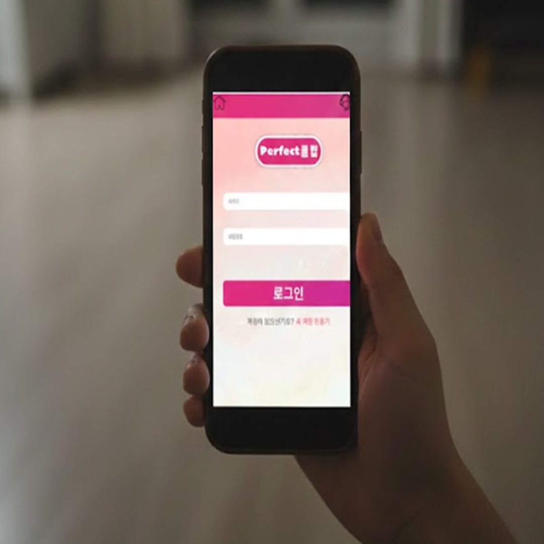 perfectss.vip 사기 퍼펙트클럽 조건만남 어플 주의