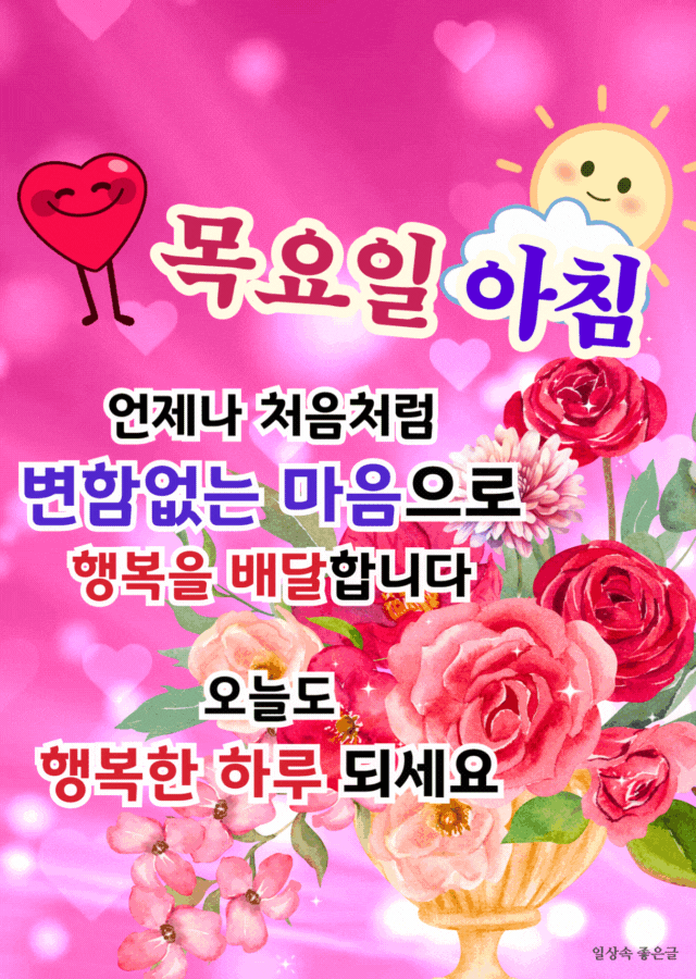 장미꽃과 목요일 아침 인사말이 어우러진 활기찬 시작 이미지