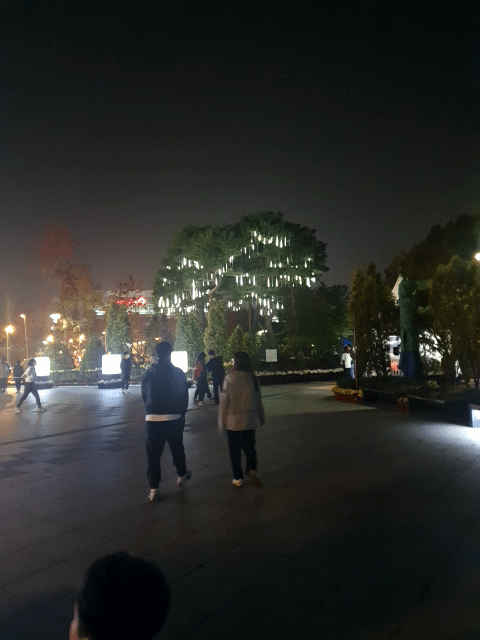 유림공원 국화축제 멋진 조경