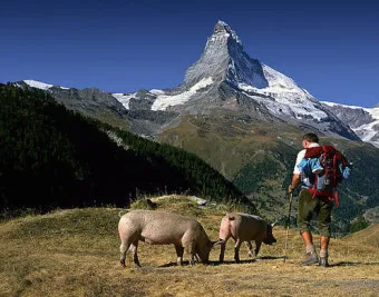 스위스 기후 날씨 온도 계절_15