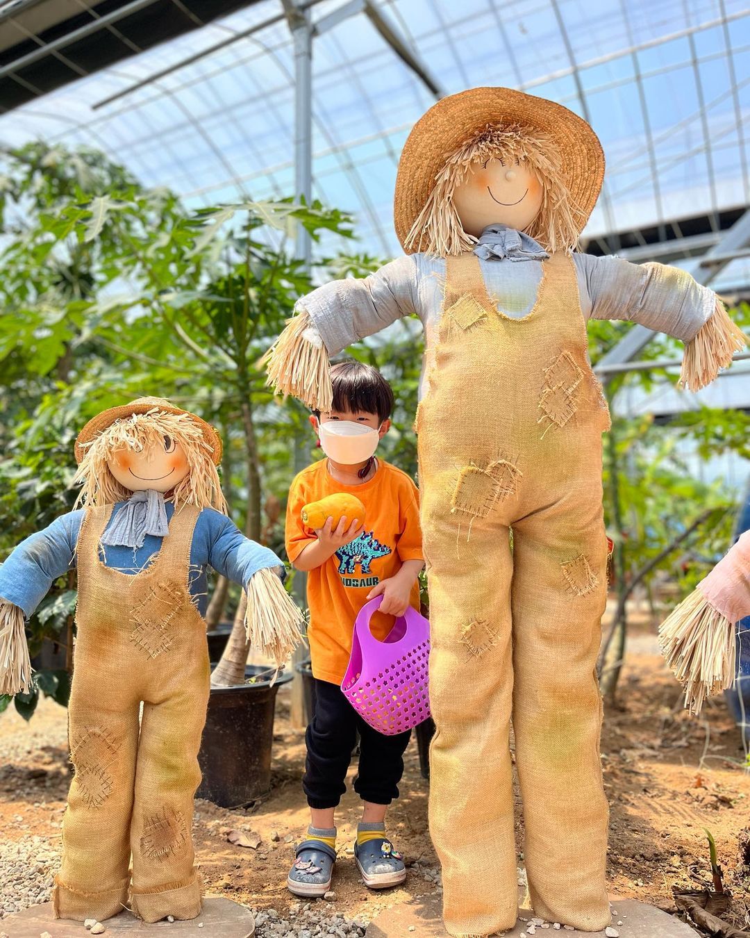 생방송오늘저녁 경기 화성 파파야 바나나 열대식물 체험, 키즈 카페, 동물 먹이주기 가볼만한 곳 추천