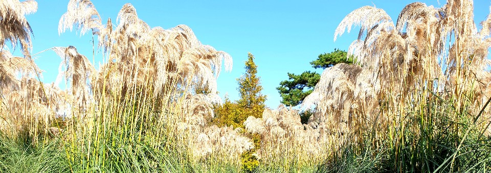 태안반도 추천여행지