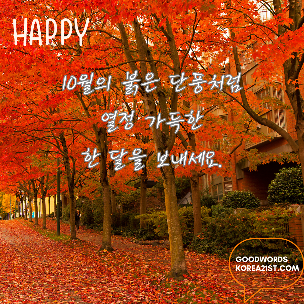 10월 인사말 문구 이미지 모음 안부 메세지