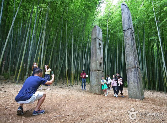 아홉산 숲