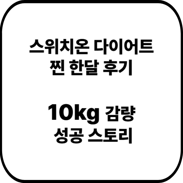 스위치온 다이어트