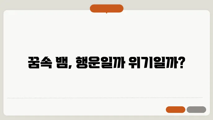 뱀 나오는 꿈해몽 풀이]