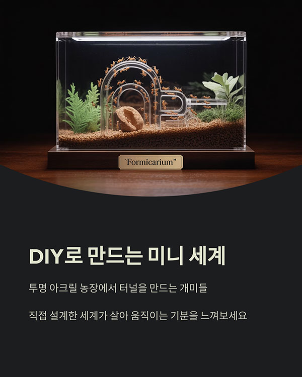 직접 개미굴을 만든다는 DIY 재미