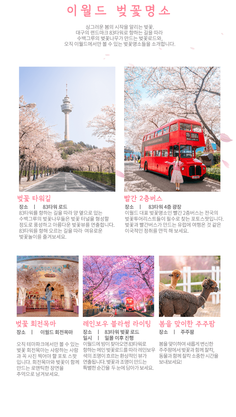 이월드_벚꽃_명소
