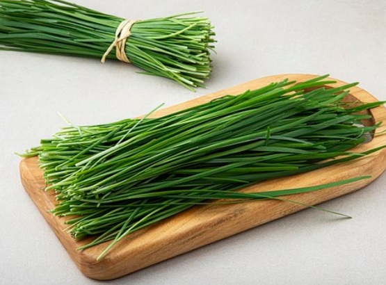 부추 효능 부작용