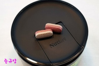 하타 타정기
이중정타정기
일본 타정기