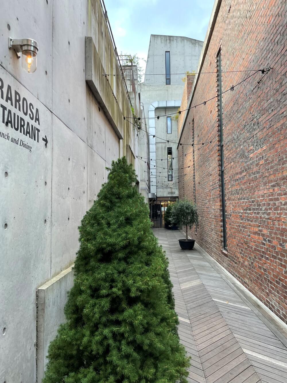 강릉-테라로사-커피공장-본점-통로-모습