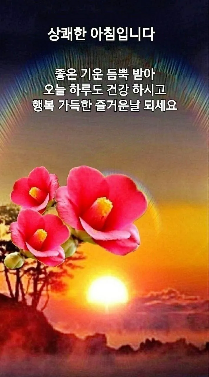 아침 인사말 이미지 모음 밝고 따뜻한 하루 인사 문구 정리_2