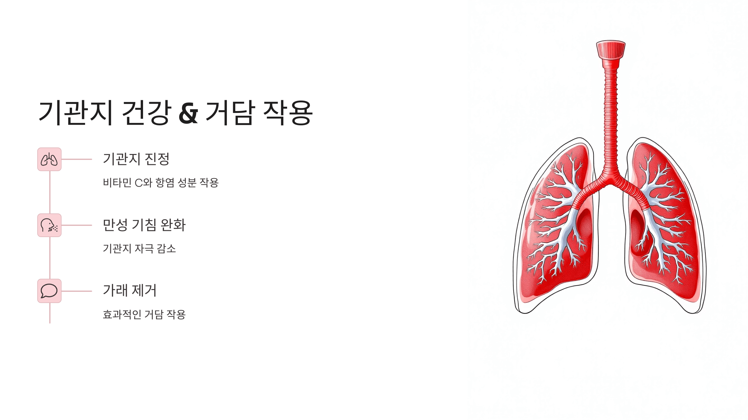 마가목 사진입니다.