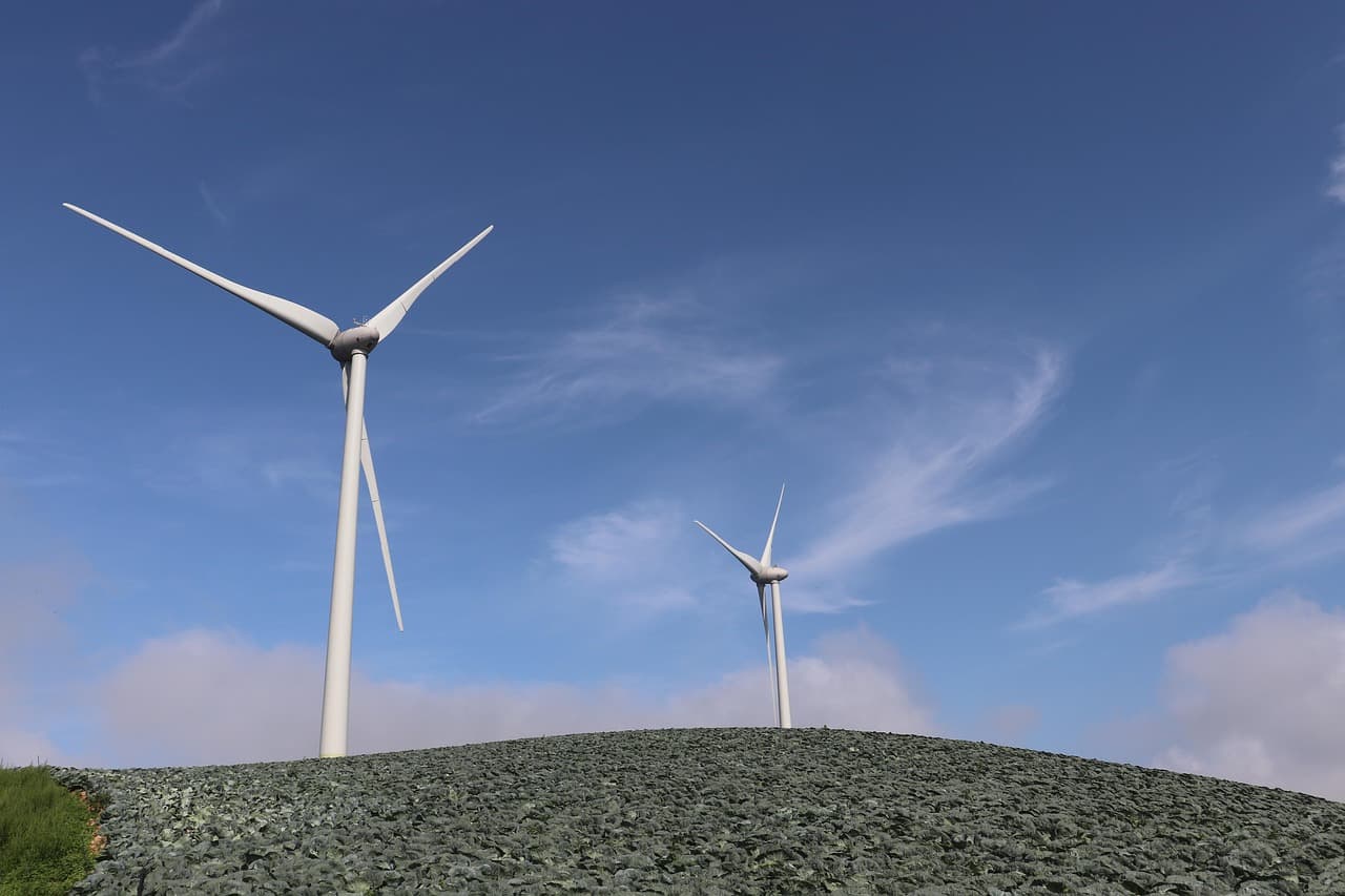 작은 기계 만들기로 키우는 두뇌 발달: 창의적 공학 놀이