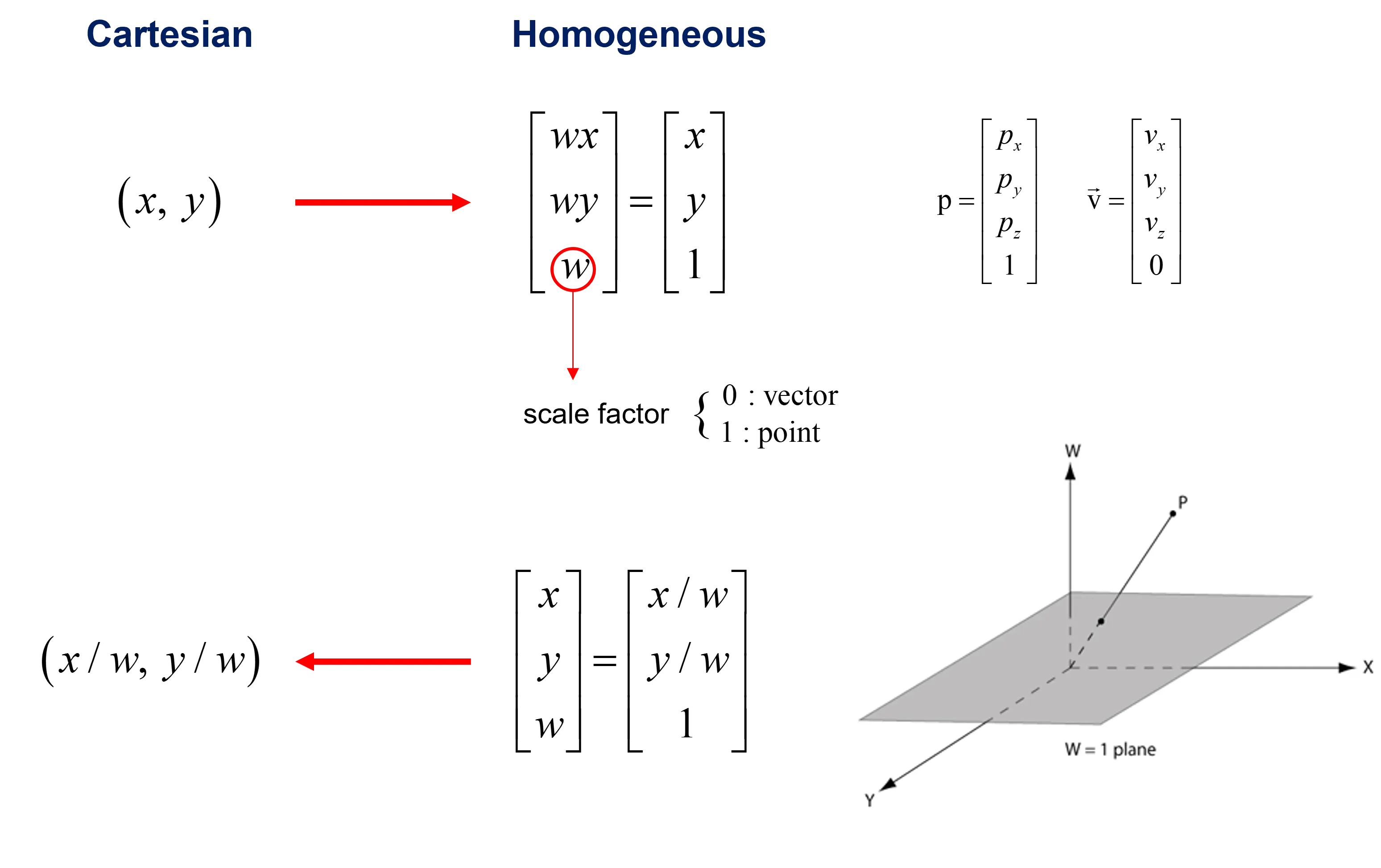 cartesian to homogeneous
