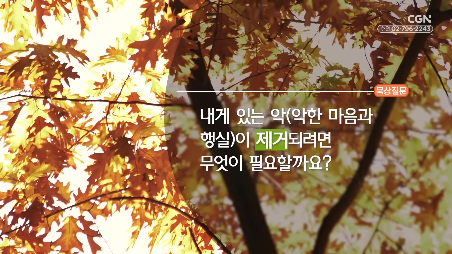 내게 있는 악(악한 마음과 행실)이 제거되려면 무엇이 필요할까요?