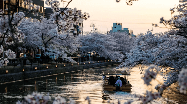 오사카 &교토 여행 완벽 가이드: 놓칠 수 없는 필수 코스