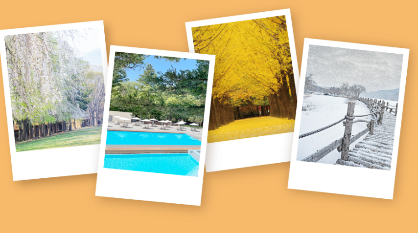 남이섬 벗꽃축제