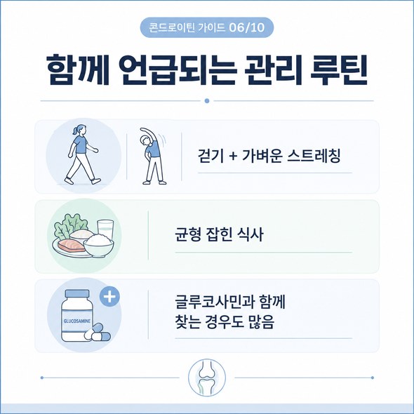 콘드로이친 효능