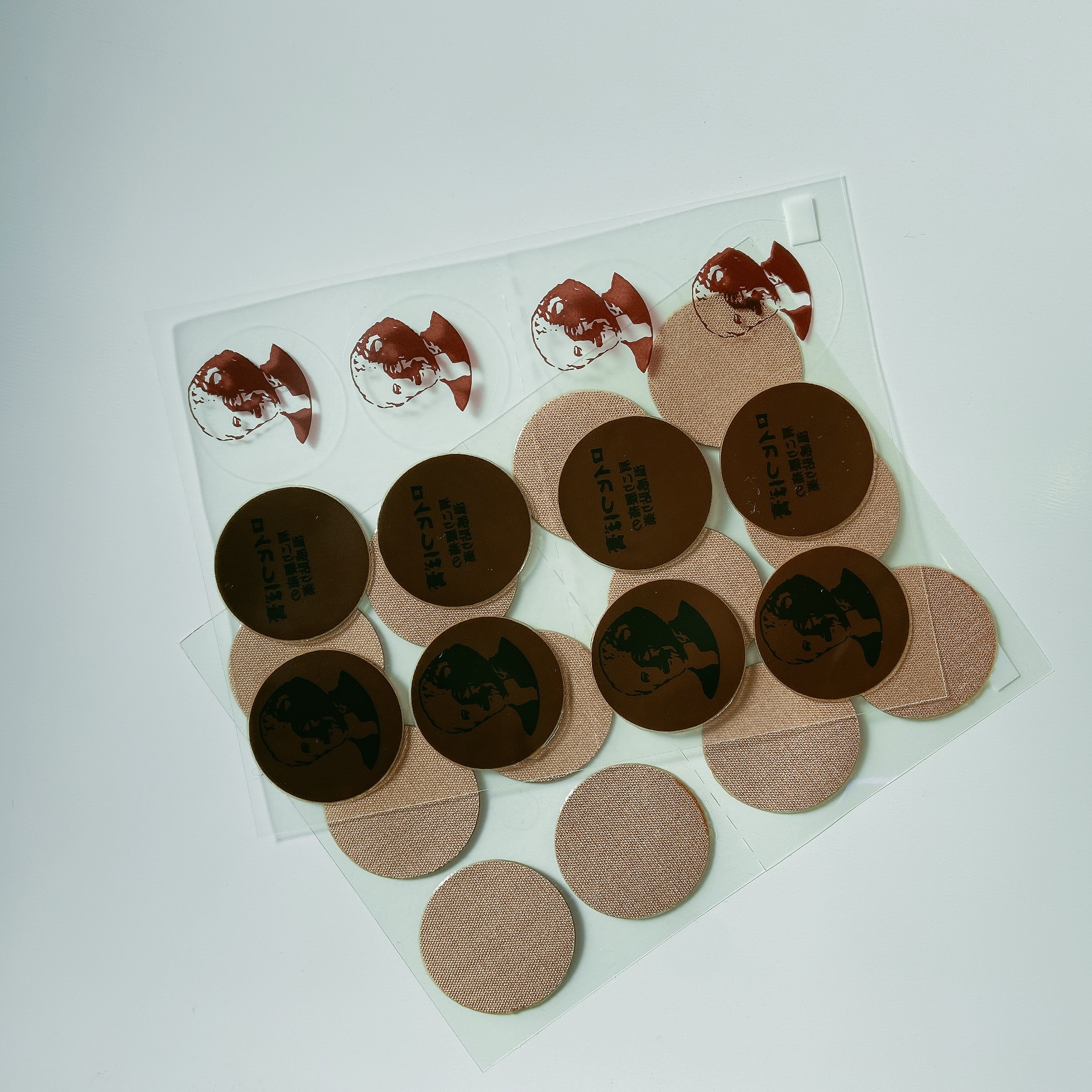 로이히츠보코동전파스