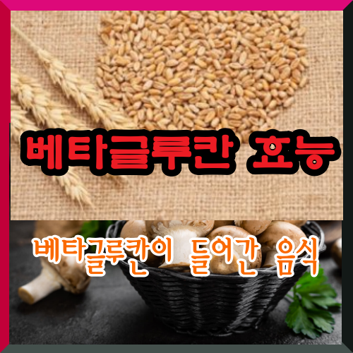 베타글루칸 효능
