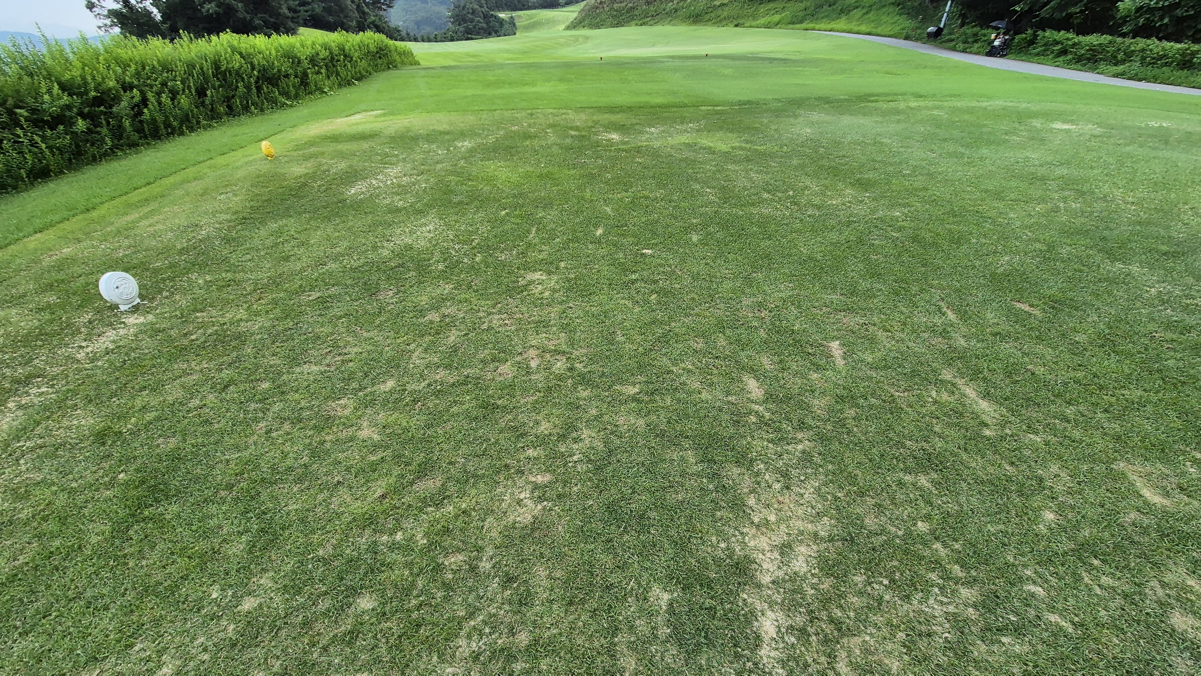 참밸리cc 라운드 후기