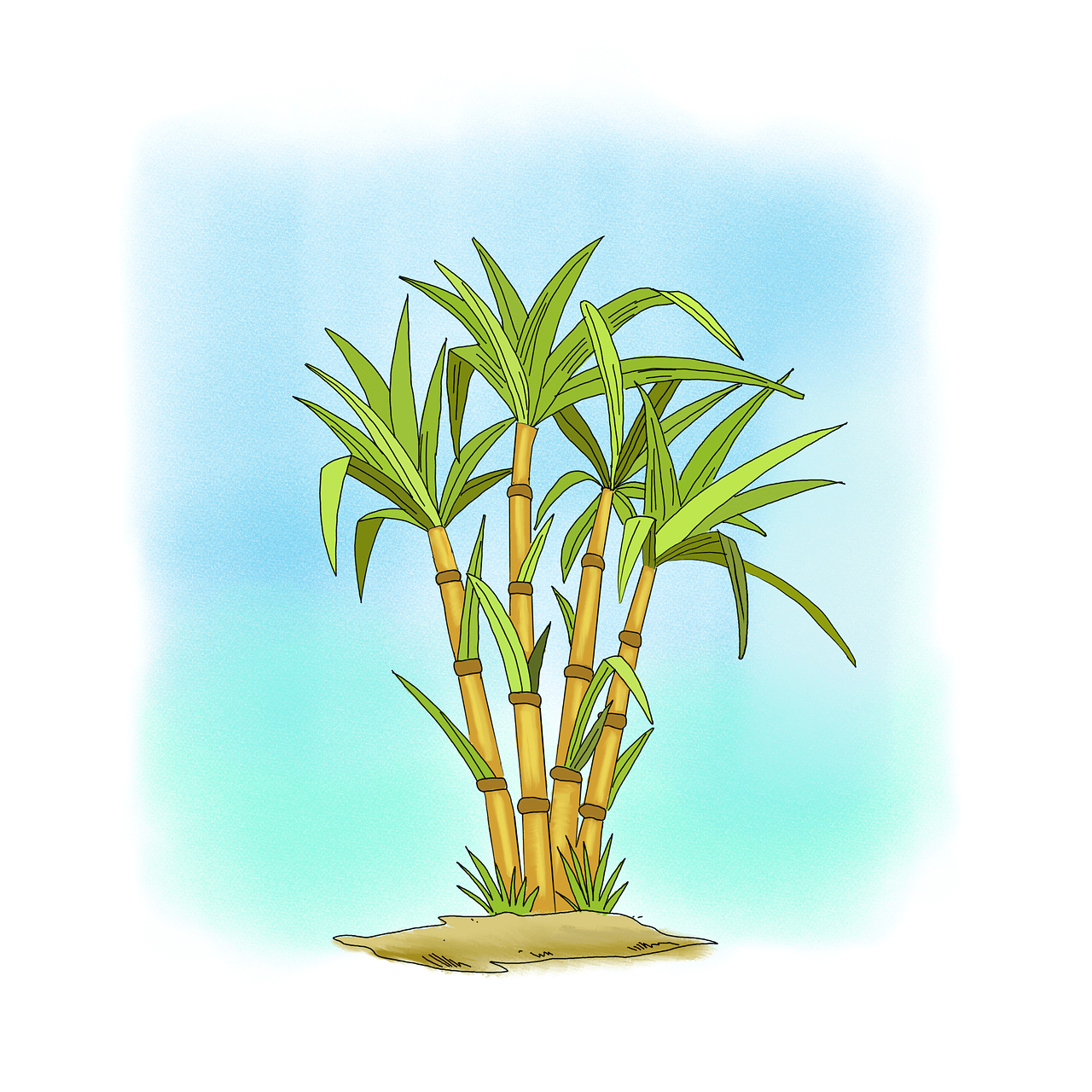 폴리코사놀의 효능