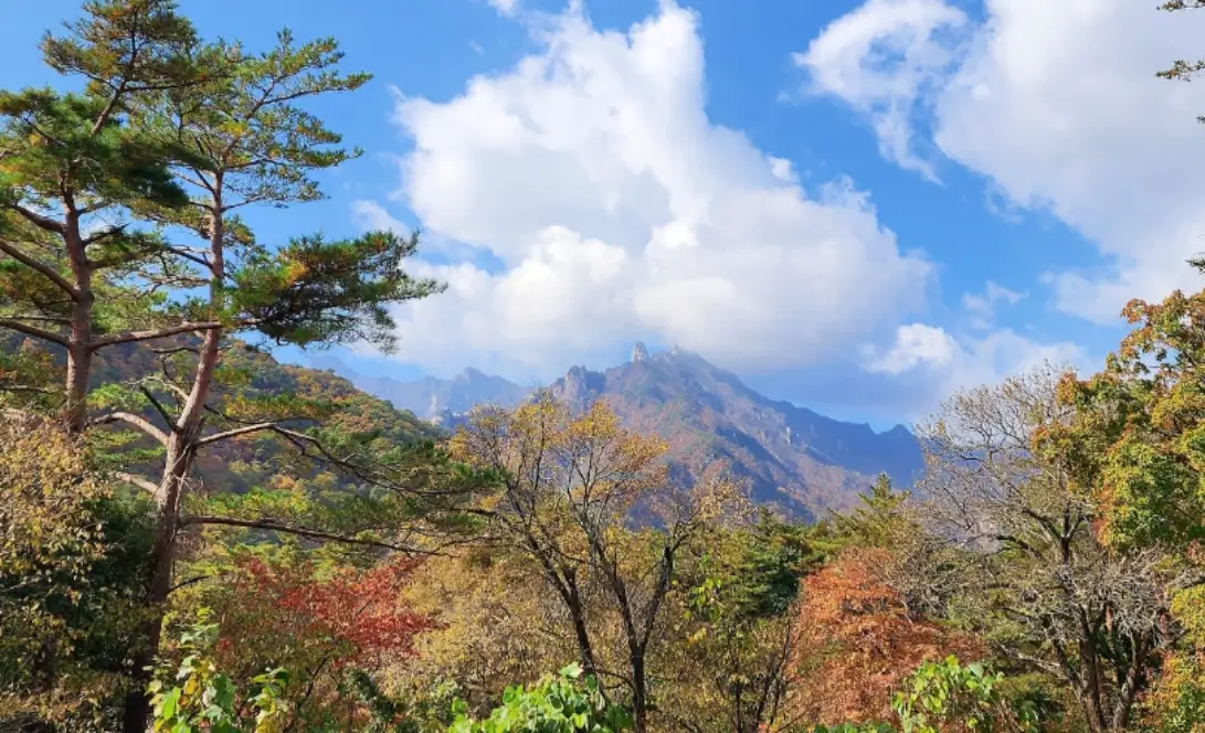 설악산 단풍