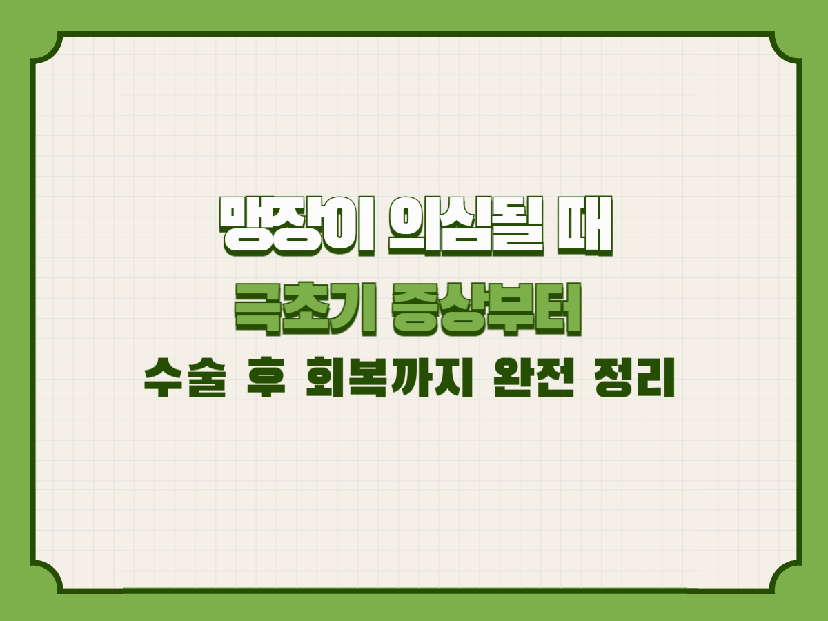 맹장이 의심될 때 ― 극초기 증상부터 수술 후 회복까지 완전 정리