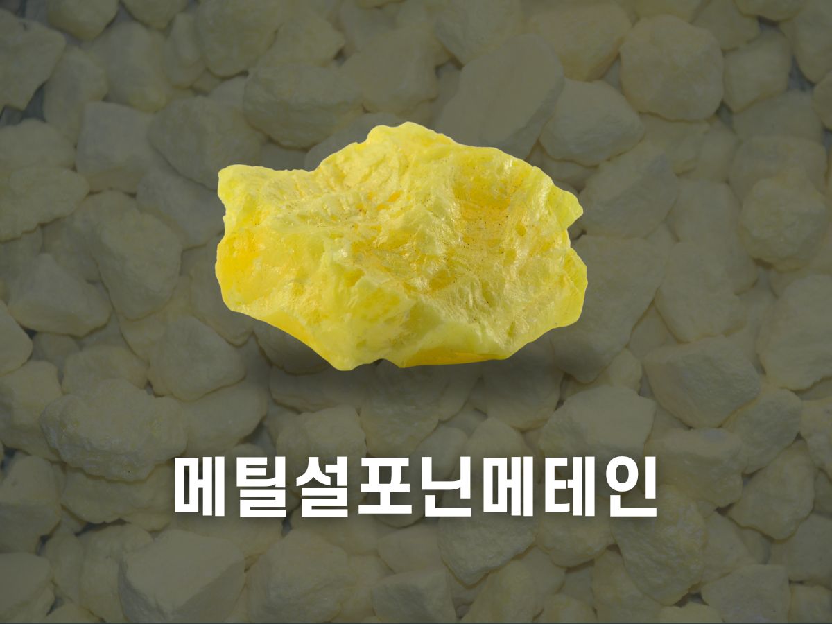 msm 효능