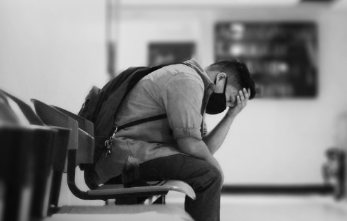 로디올라 약물 상호작용 부작용 위험 수면제 불면증 홍경천