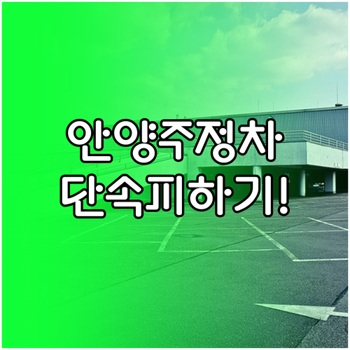 안양시 주정차 단속 구역 확인과 알림..