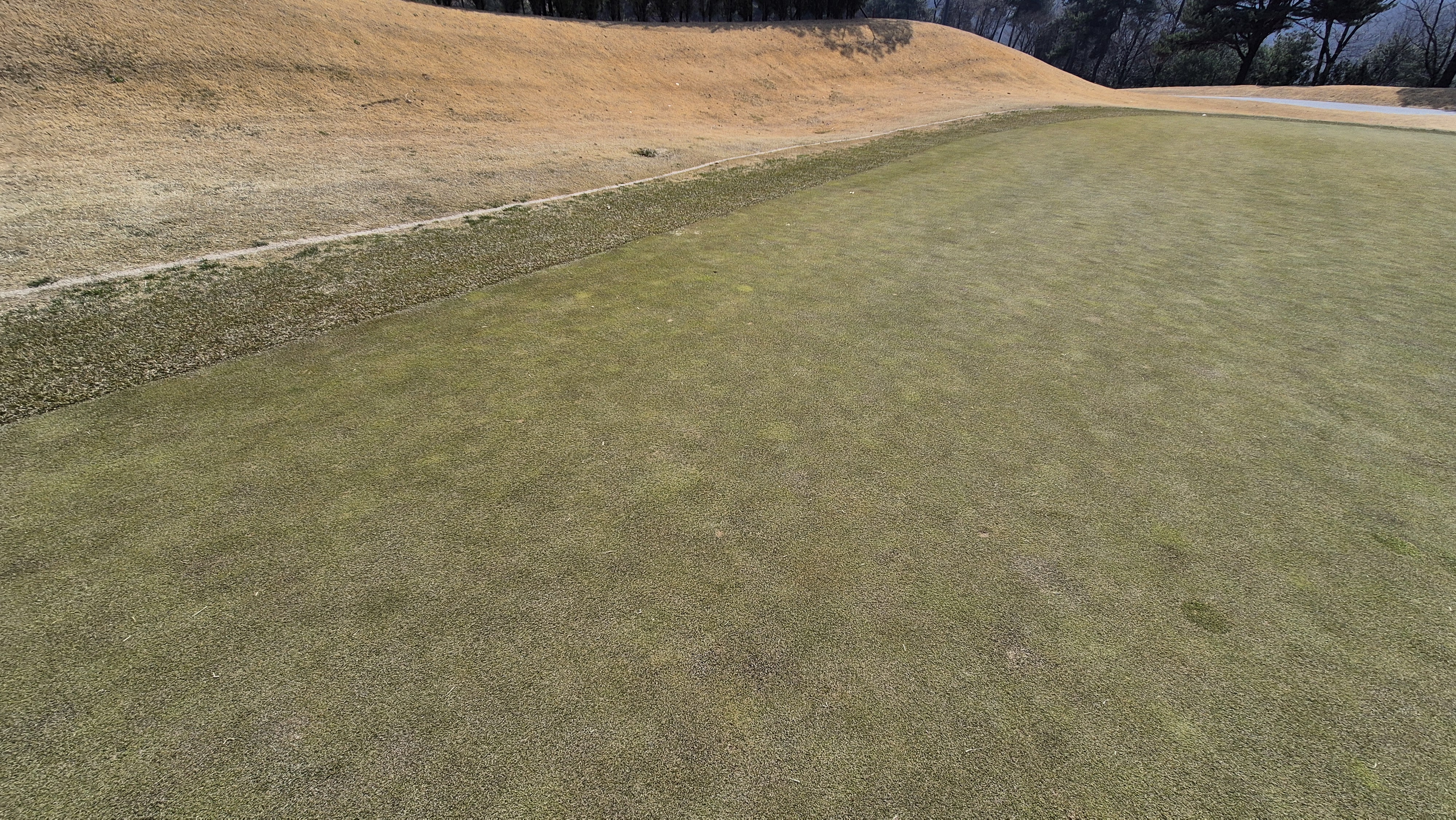 이글몬트cc 히든-이글 코스 라운드 후기