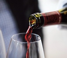 2025/2026 알펜시아 리조트 스키장 시즌권 완벽 가이드