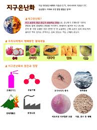 지구온난화 경제피해