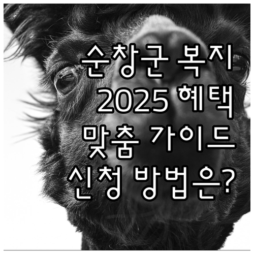 2025 순창군 맞춤 복지 서비스 혜..